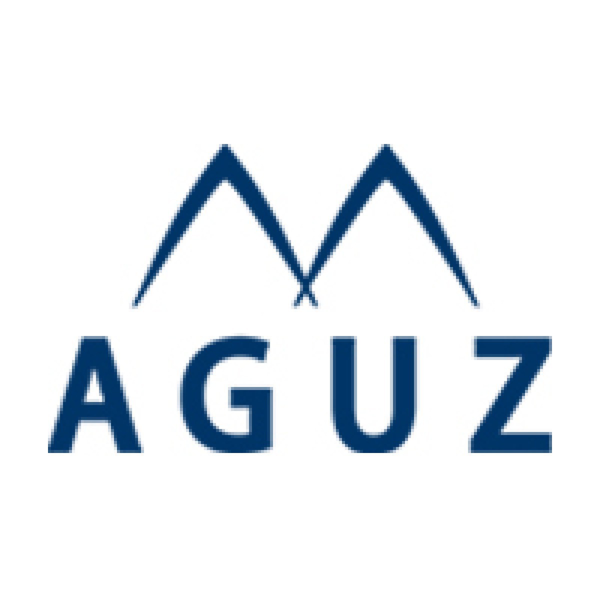 Aldem Boat Solutions- Aguz